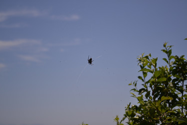 Similar image 22251502