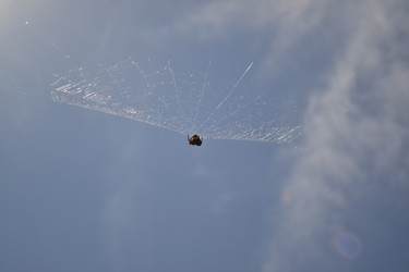 Similar image 22251503