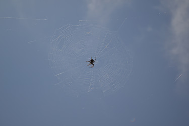 Similar image 22251504