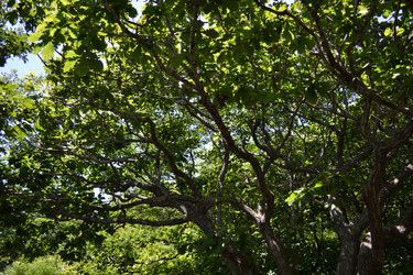 Similar image 22251505