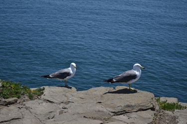 Similar image 22250821