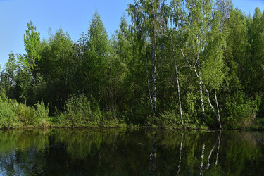 Similar image 22268523