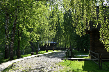 Similar image 22268524