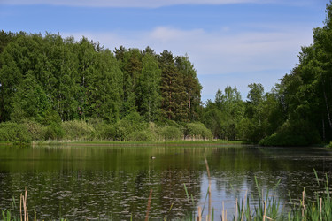 Similar image 22268525