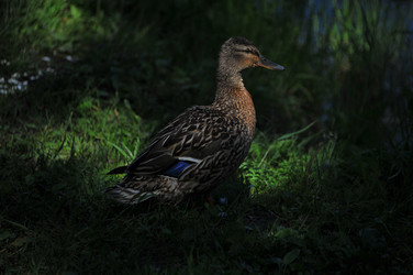 Similar image 22268529