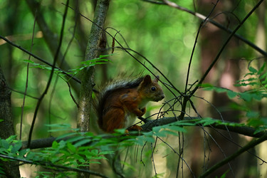 Similar image 22268530