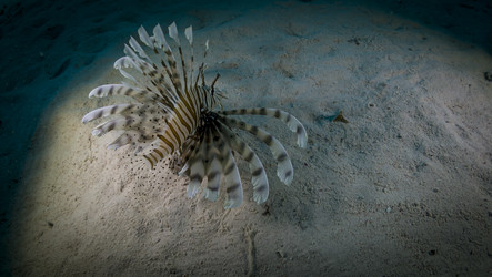 Similar image 22268424