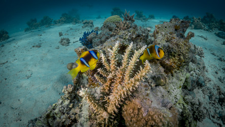 Similar image 22268425