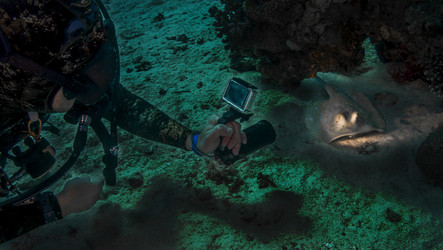 Similar image 22268428