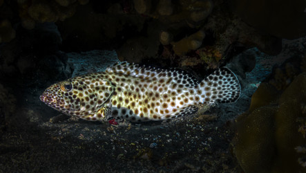 Similar image 22268431