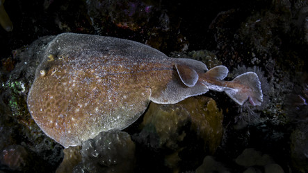 Similar image 22268432