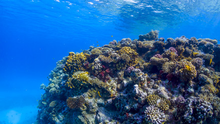 Similar image 22268434