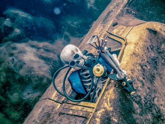 Similar image 22268440