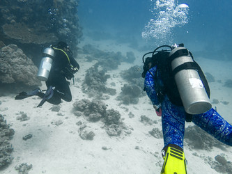 Similar image 22268445