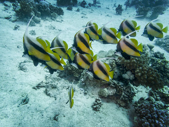 Similar image 22268447