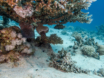 Similar image 22268451