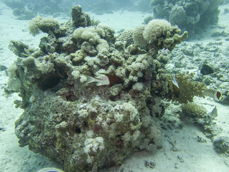 Similar image 22268452