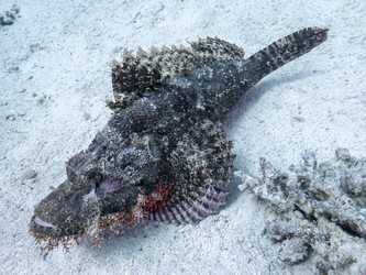 Similar image 22268453