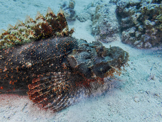 Similar image 22268454