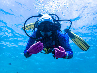 Similar image 22268455