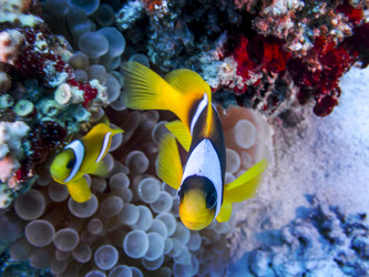 Similar image 22268457