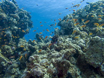 Similar image 22253045