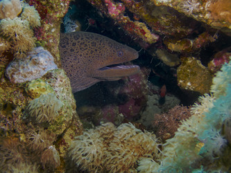 Similar image 22253052