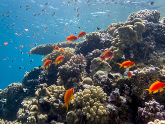 Similar image 22253055