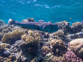 Similar image 22253057