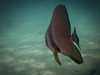 Similar image 22253058