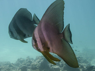 Similar image 22253059