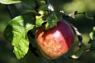 Similar image 22250822