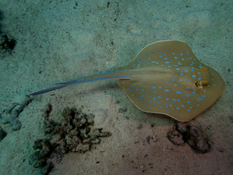 Similar image 22253061