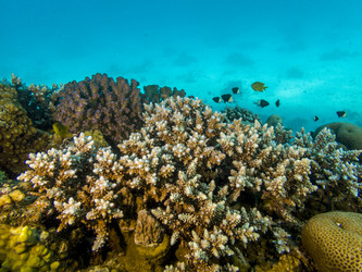 Similar image 22253062