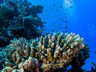 Similar image 22253074