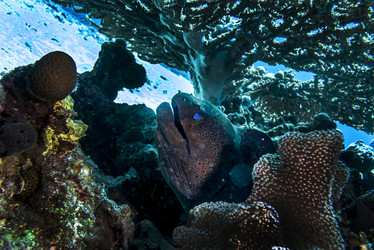 Similar image 22253075