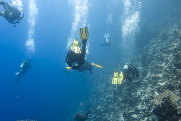 Similar image 22253076