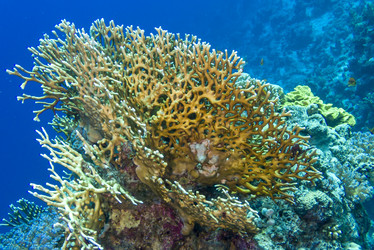 Similar image 22253077