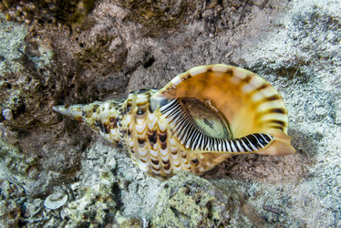 Similar image 22253078