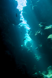 Similar image 22253079