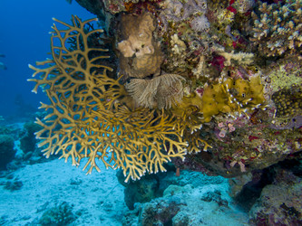 Similar image 22253081