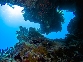 Similar image 22253083