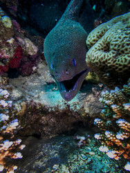 Similar image 22253084