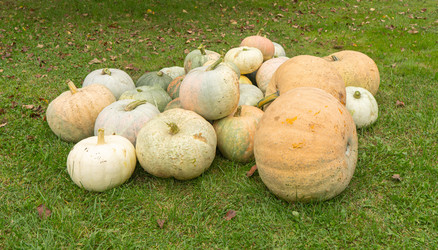 Similar image 22259858