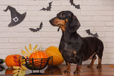 Similar image 22273166