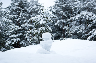 Similar image 22253655