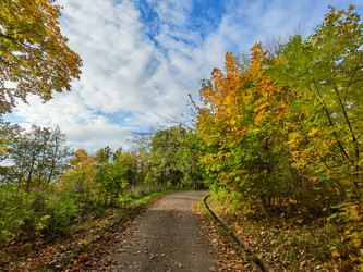 Similar image 22255088