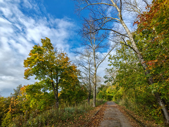 Similar image 22255089