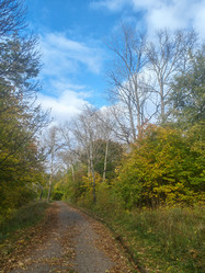 Similar image 22255090