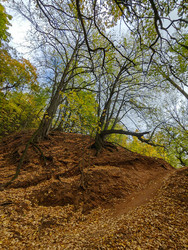 Similar image 22255091